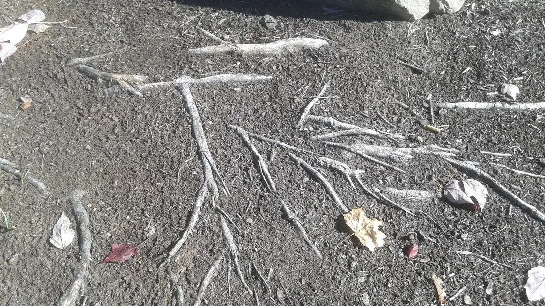 20181011_145252.jpg