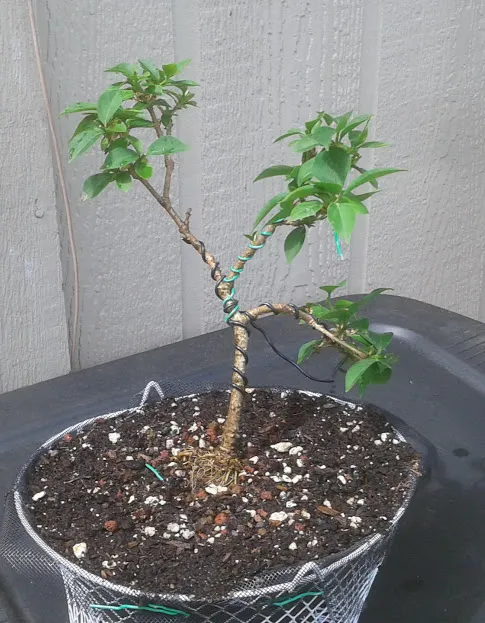 20180505_131243.jpg