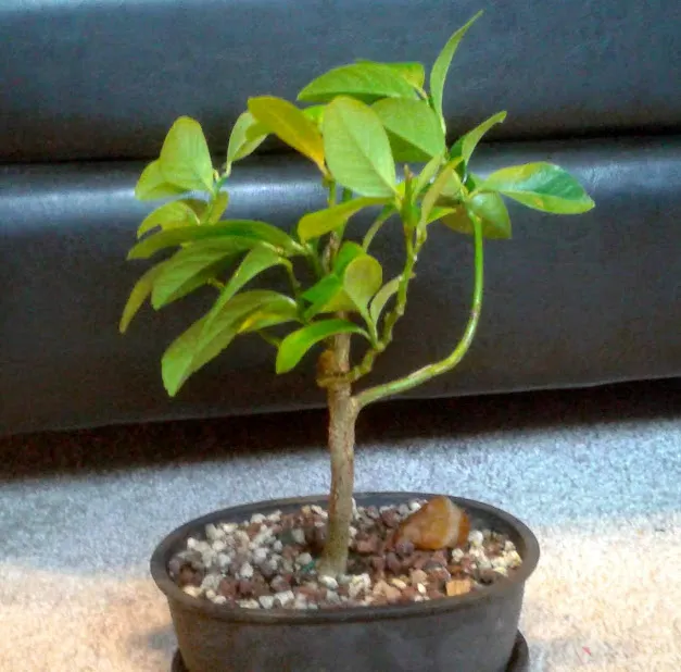 20181228_143358.jpg