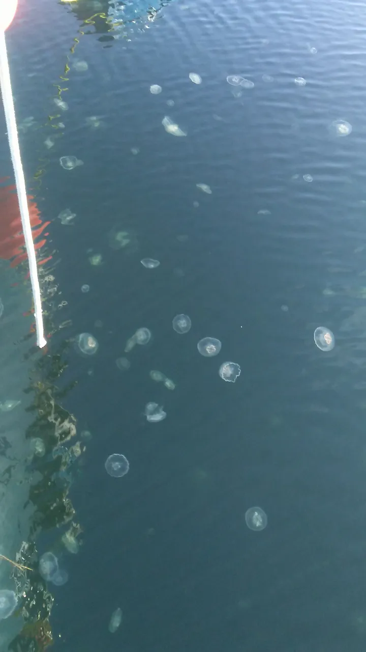 20181107_103929.jpg