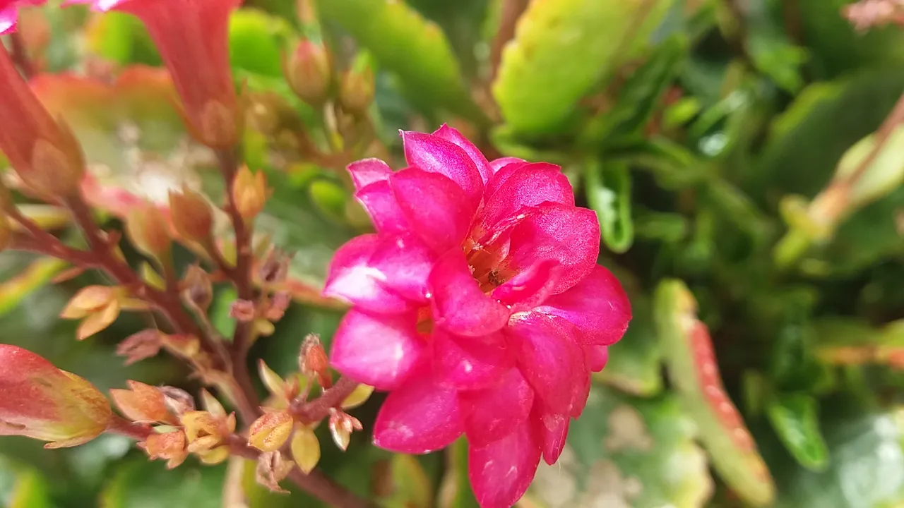 20190412_104441.jpg