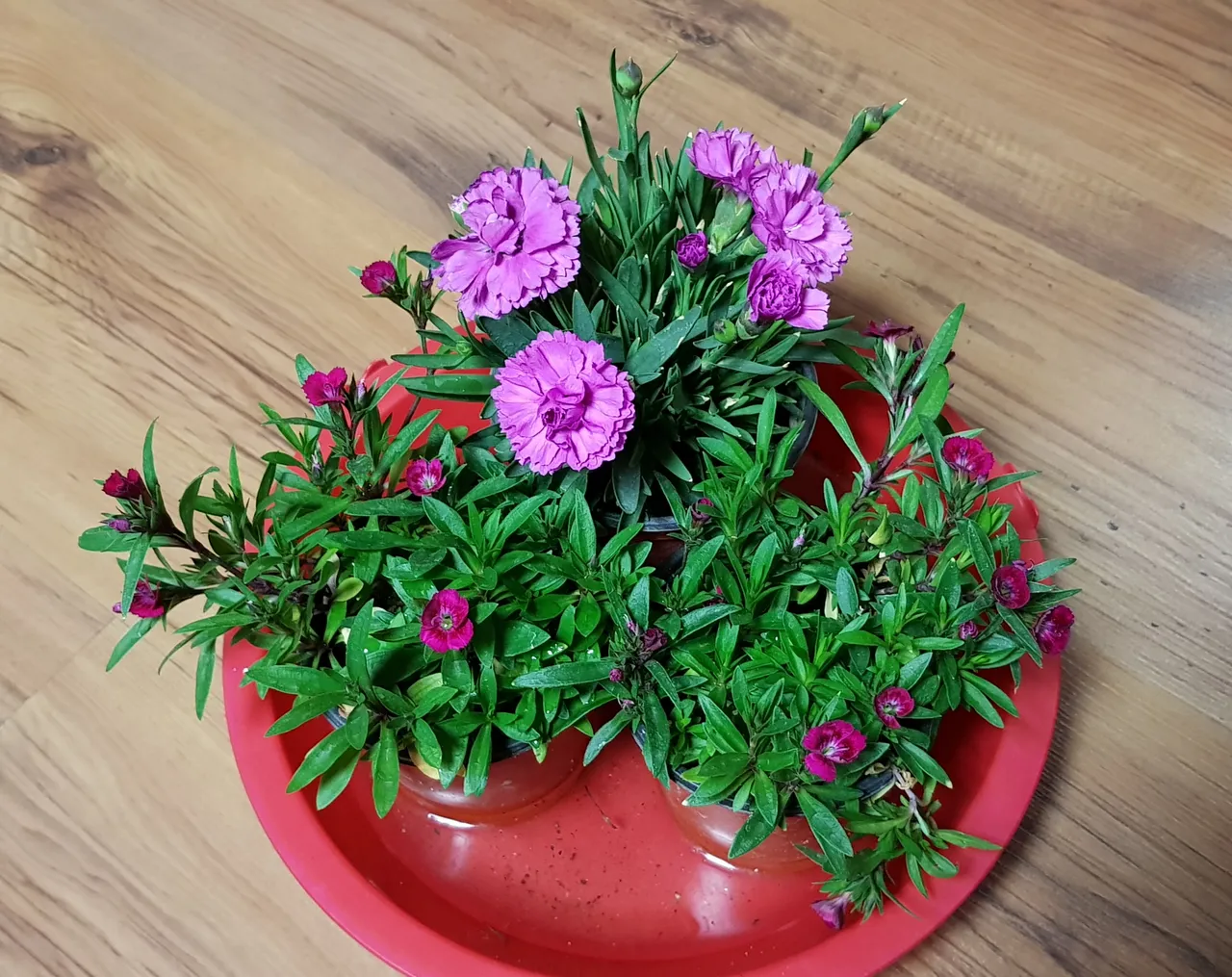 20190324_215441.jpg