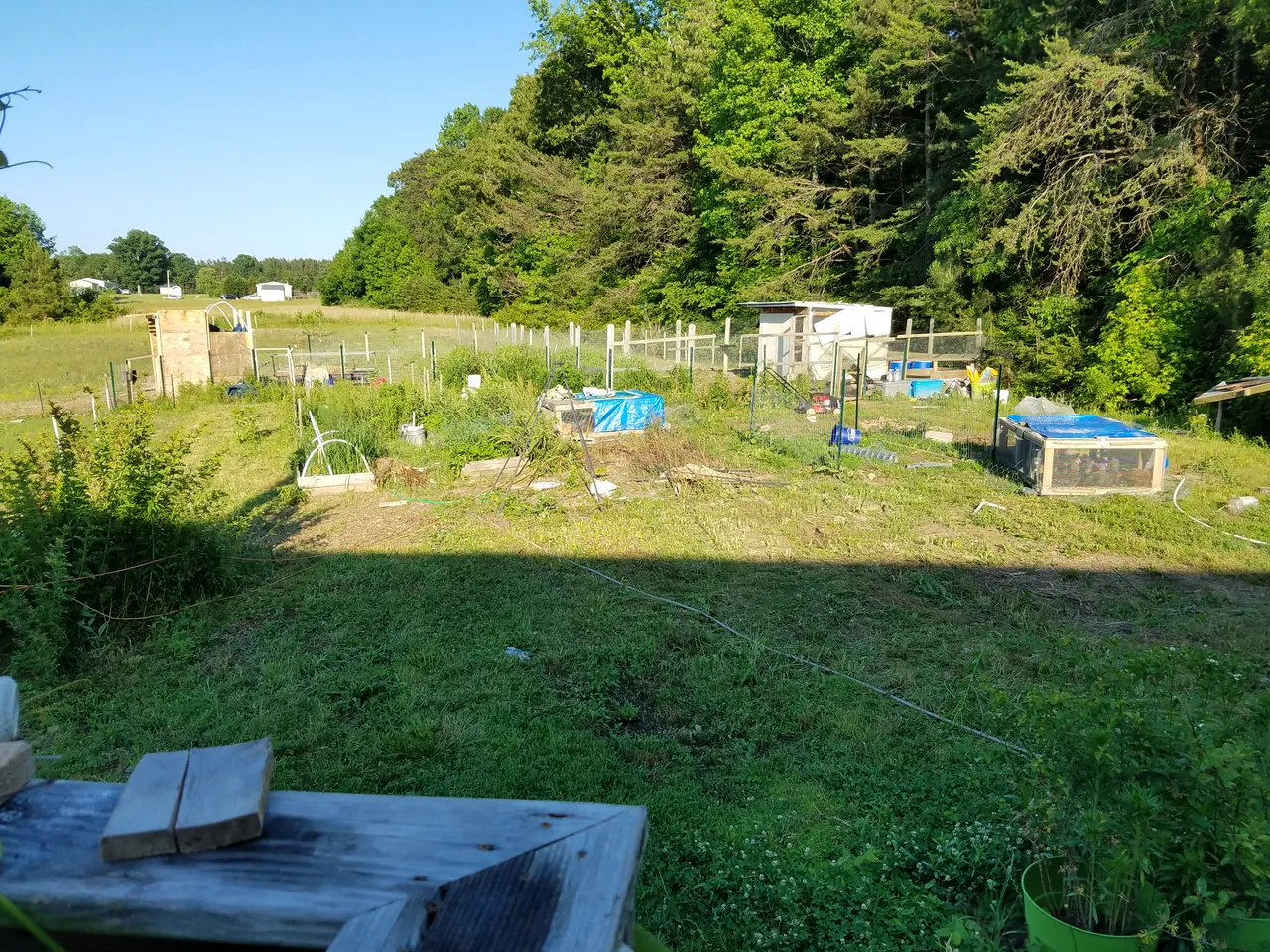 20180524_183531.jpg