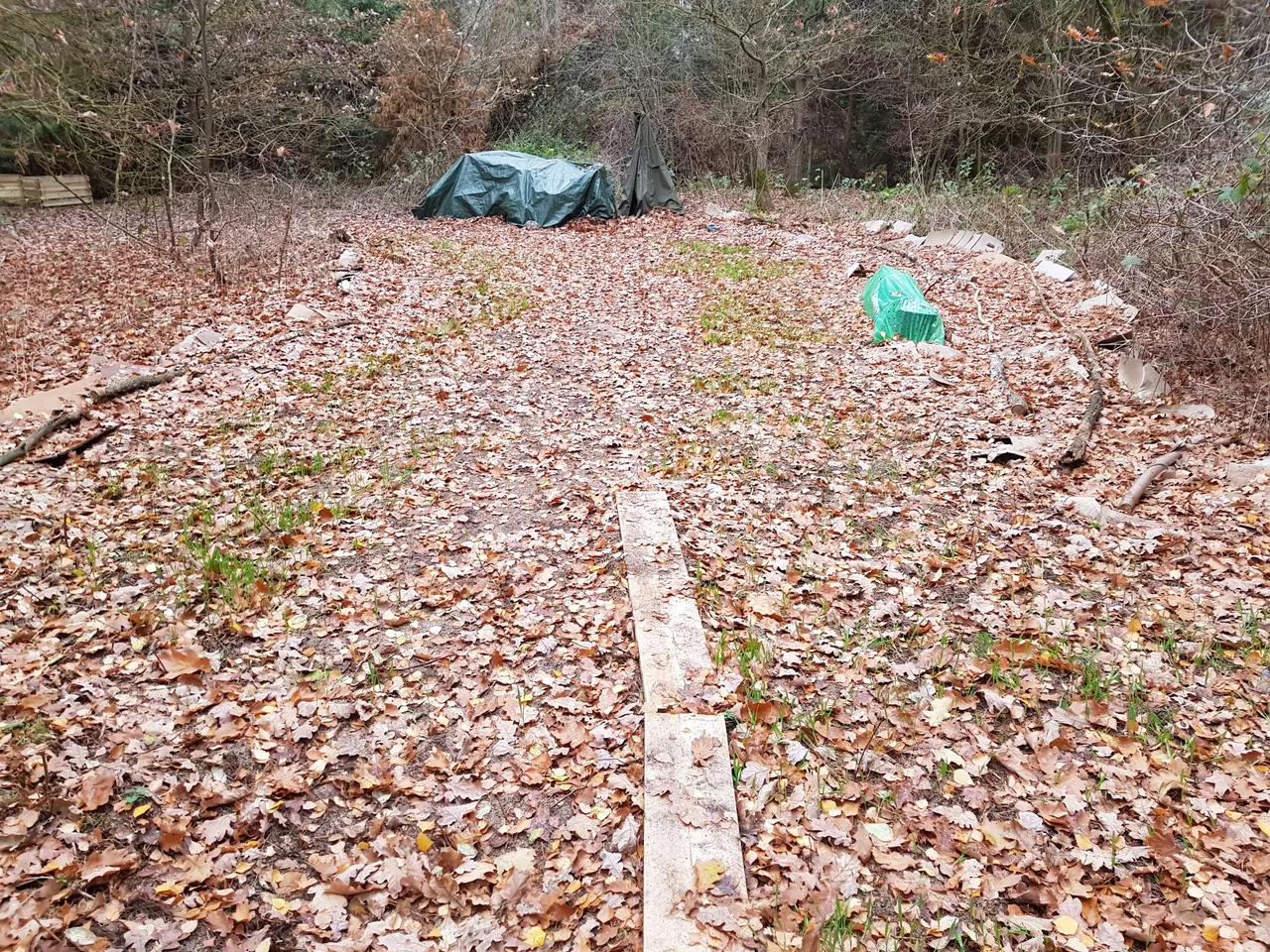 20181124_144719.jpg