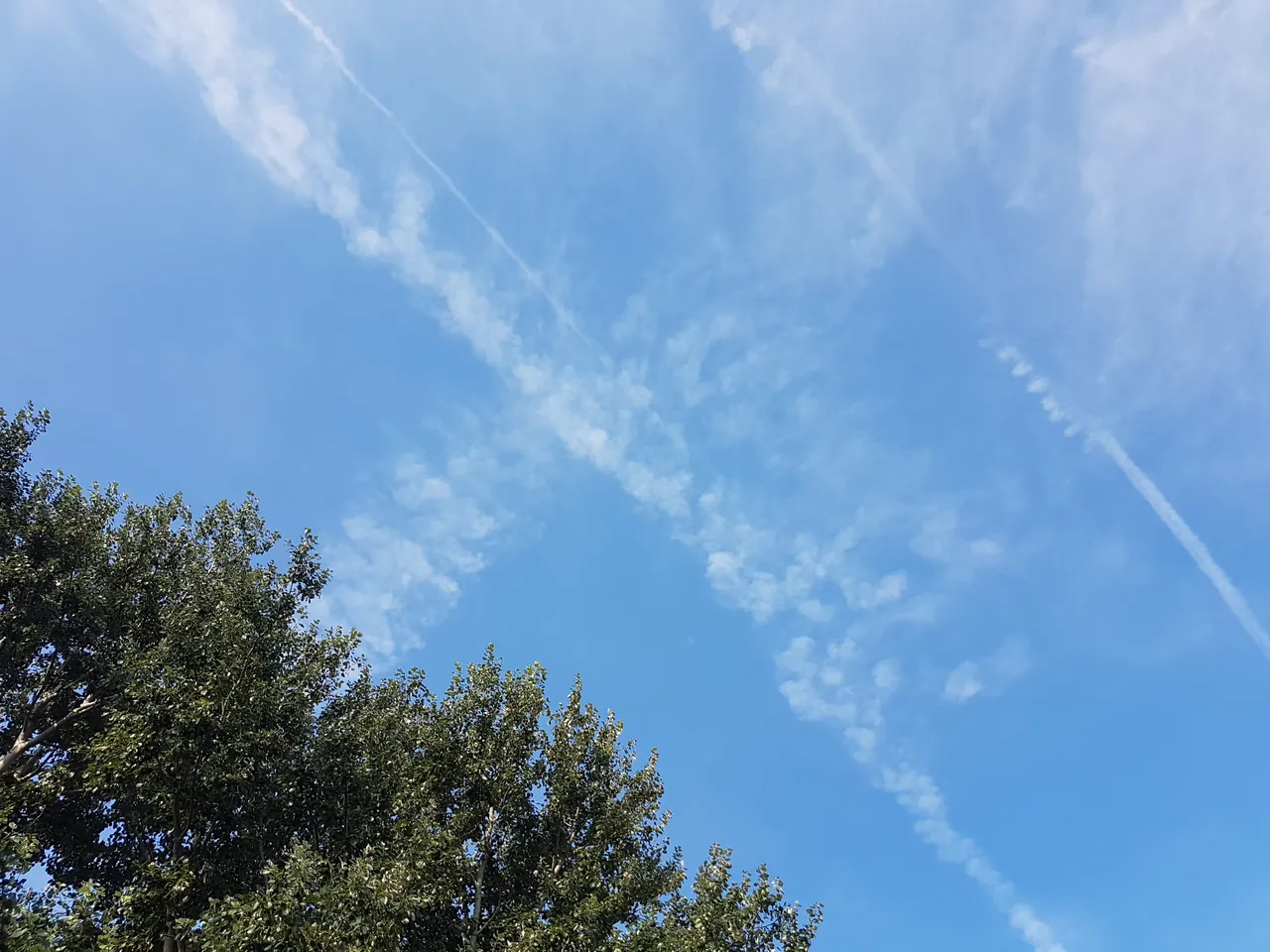 20180809_084141.jpg