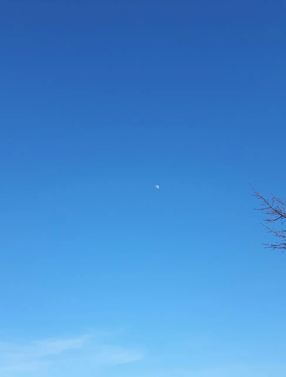 20190414_190831.jpg