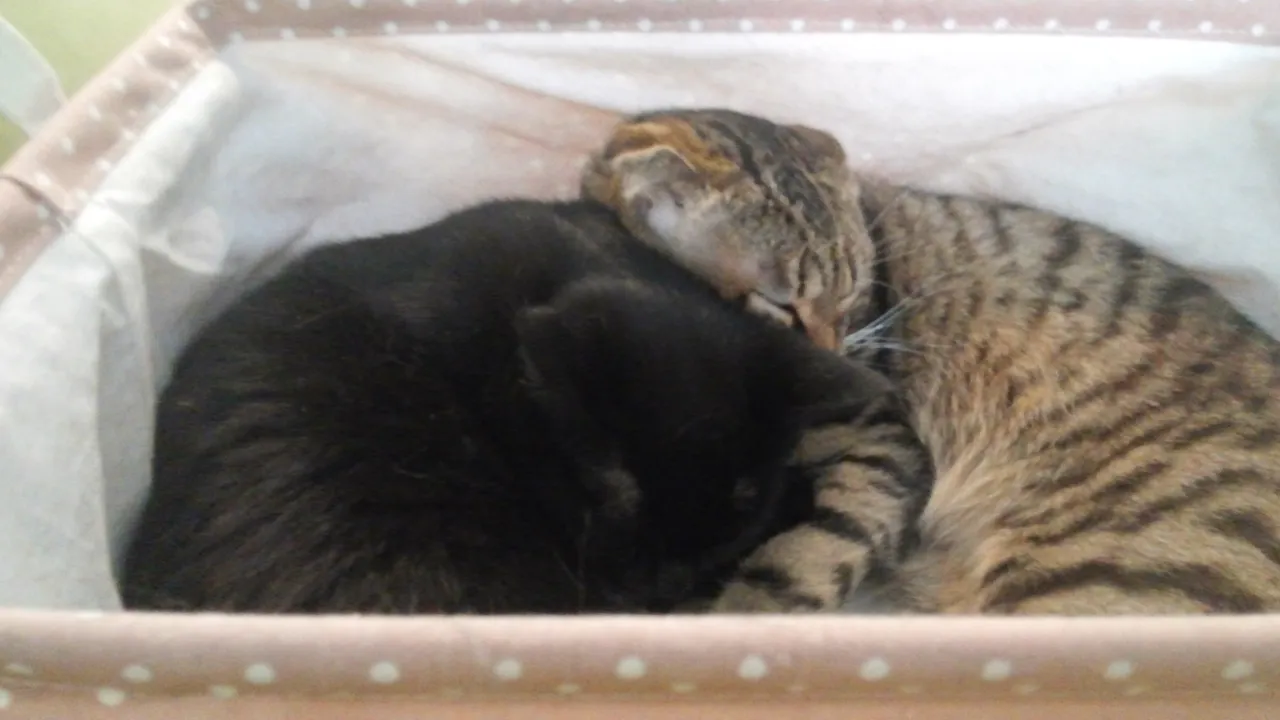 20150505_111643.jpg