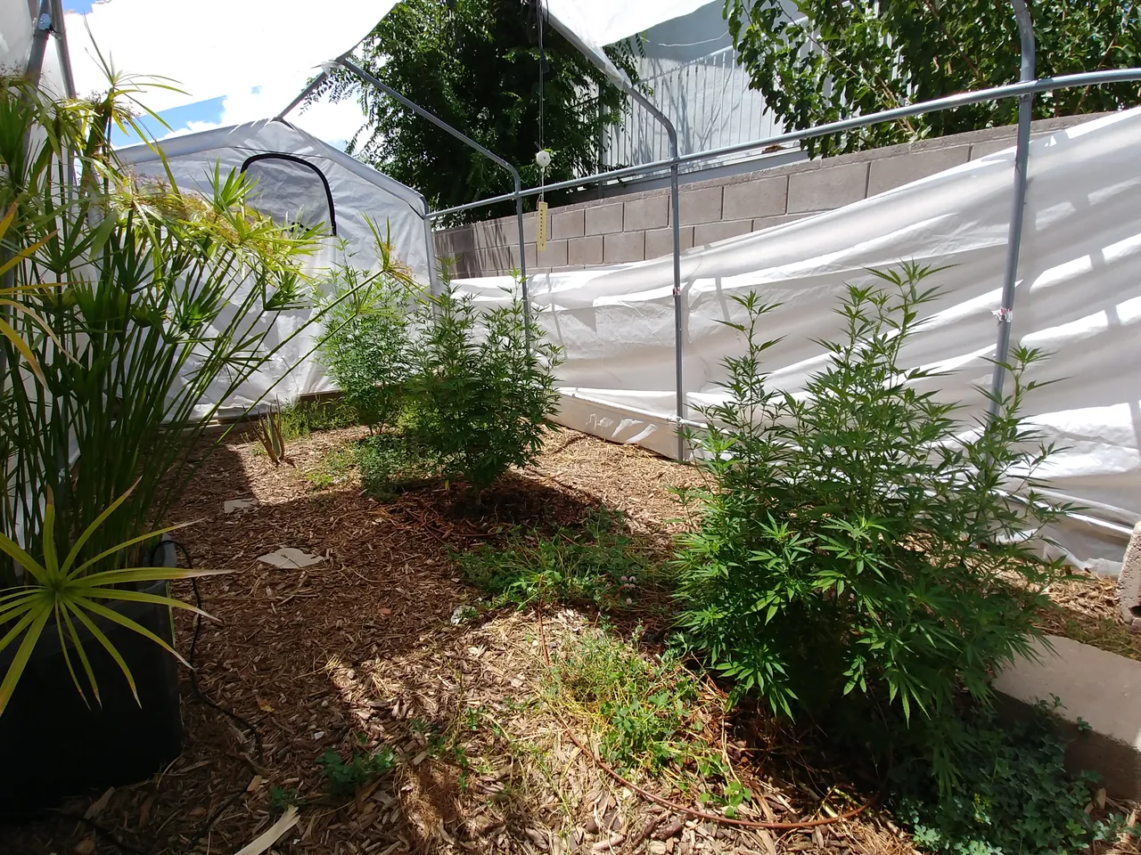 20180719_140132.jpg