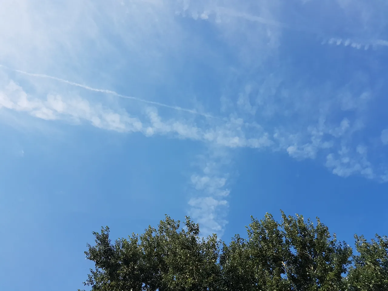 20180809_084152.jpg