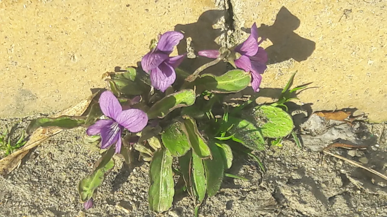 20190403_171939.jpg