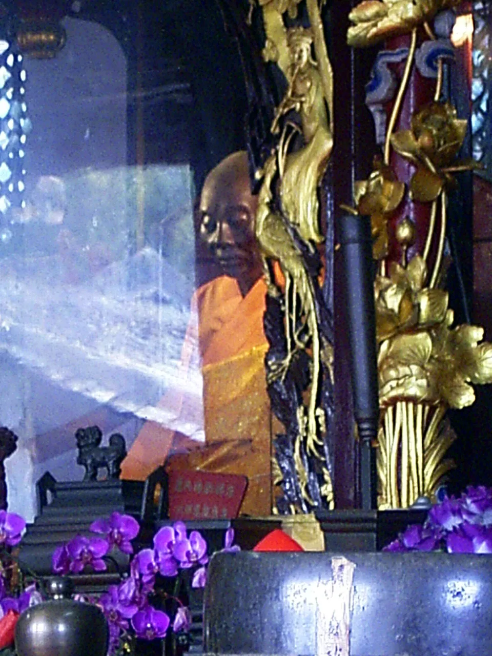RIMG0184-vsshwa.JPG