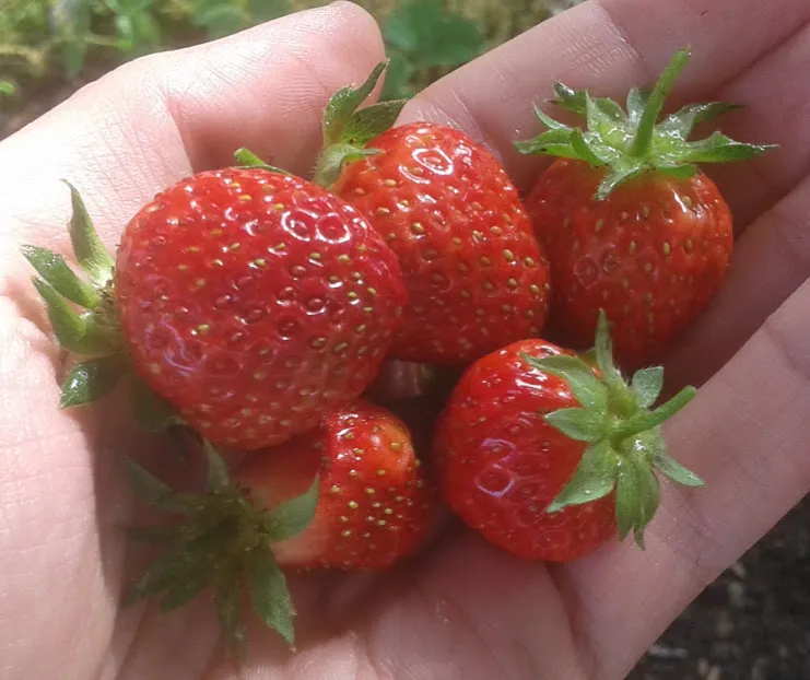 20180606_092146.jpg