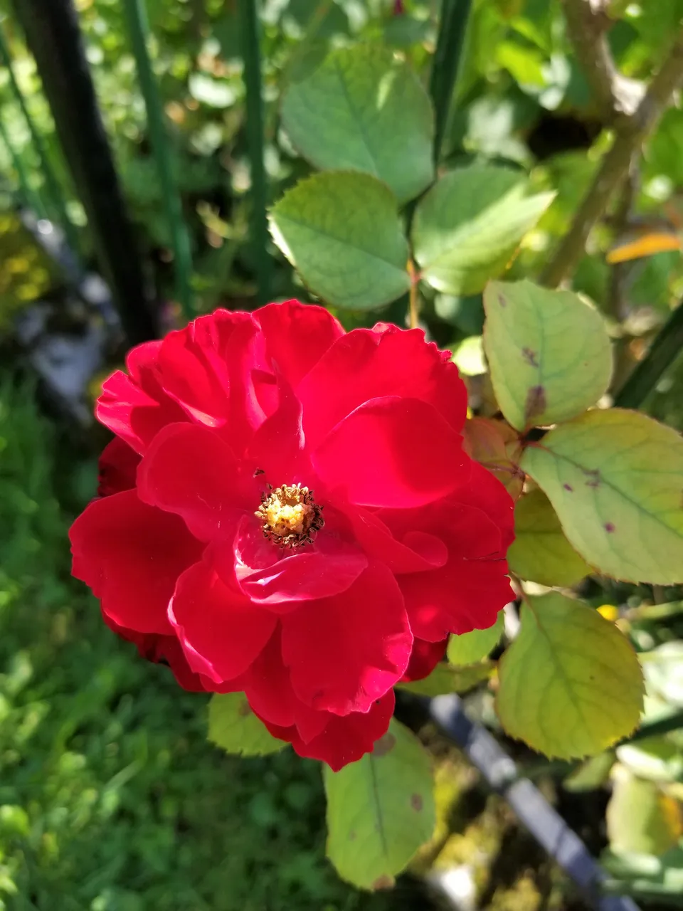 20180919_114740.jpg