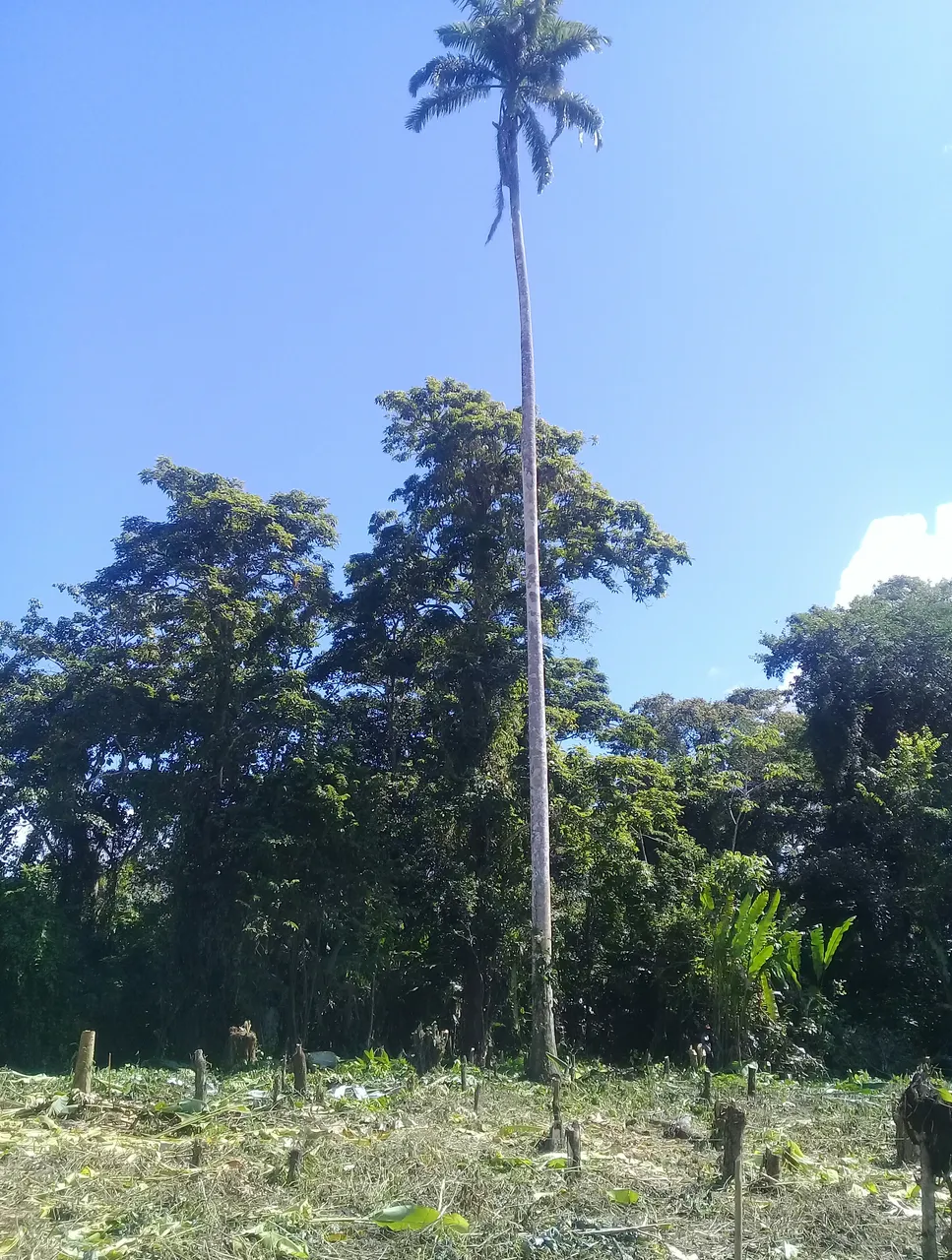 20181214_174649.jpg