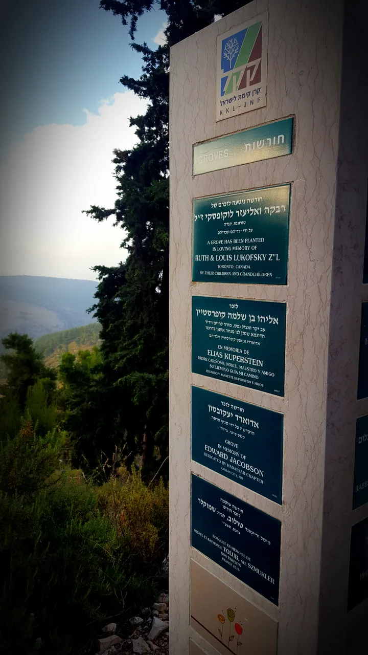 20180614_002107.jpg