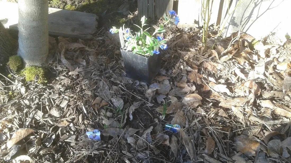 20190302_093132.jpg