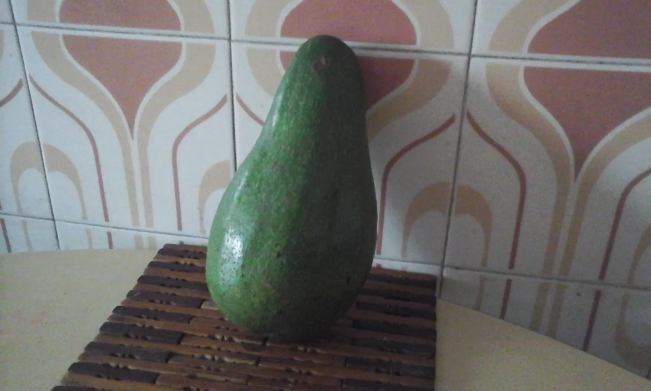 20180603_120315.jpg