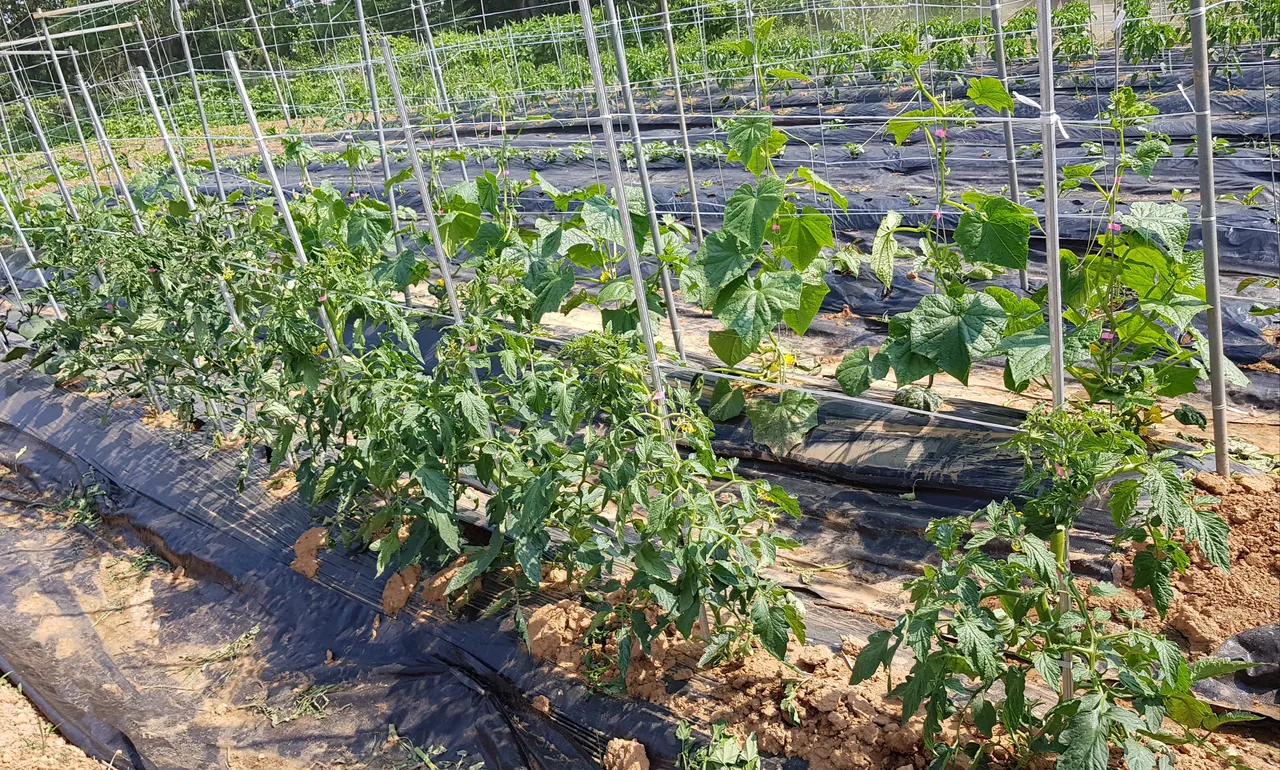 20190604_224754.jpg