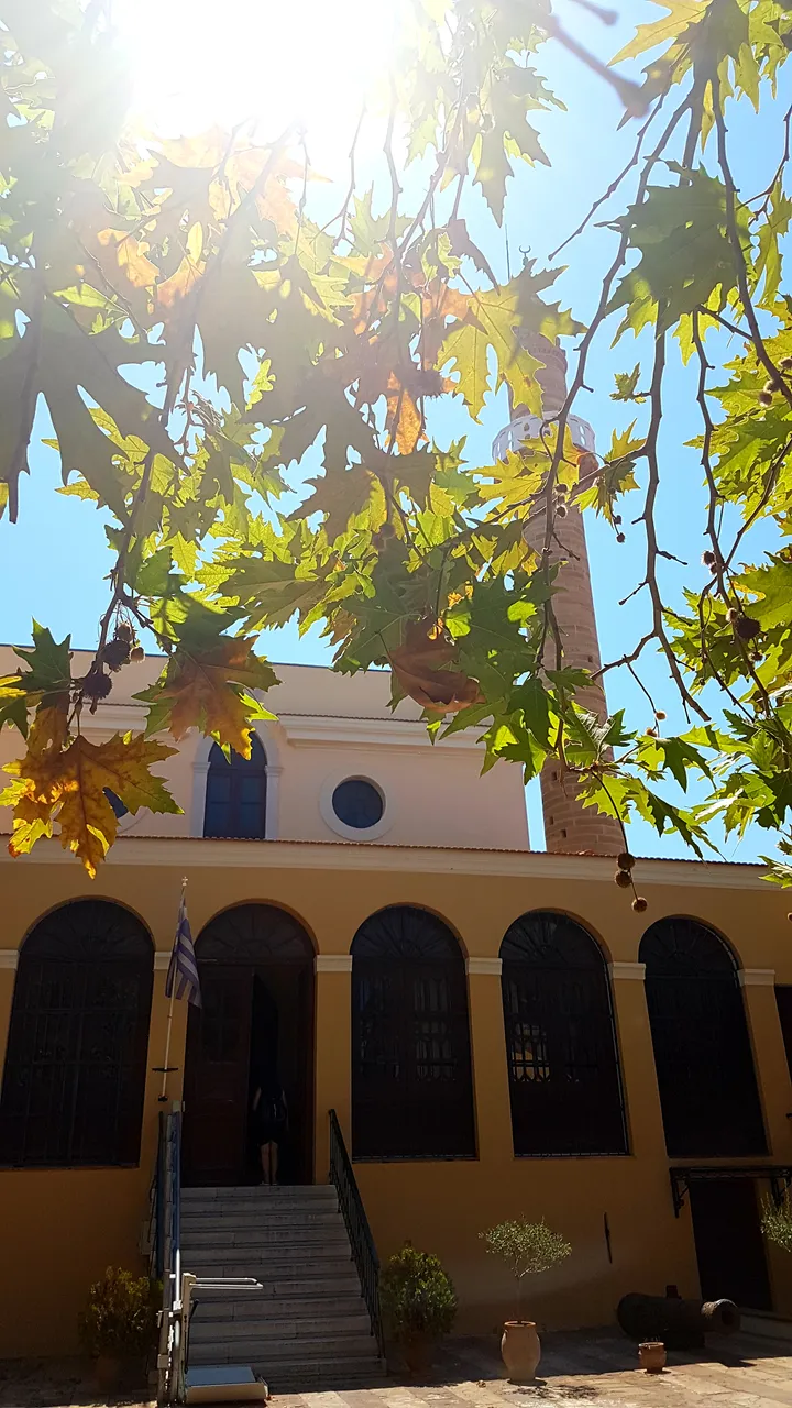 20180828_070234.jpg