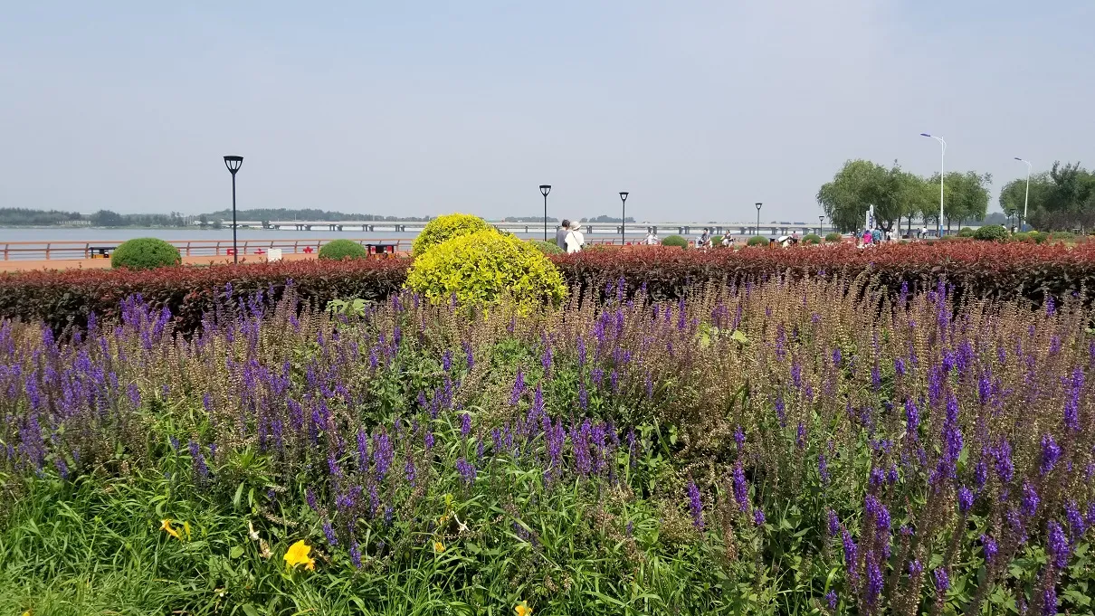 20180624_095341.jpg