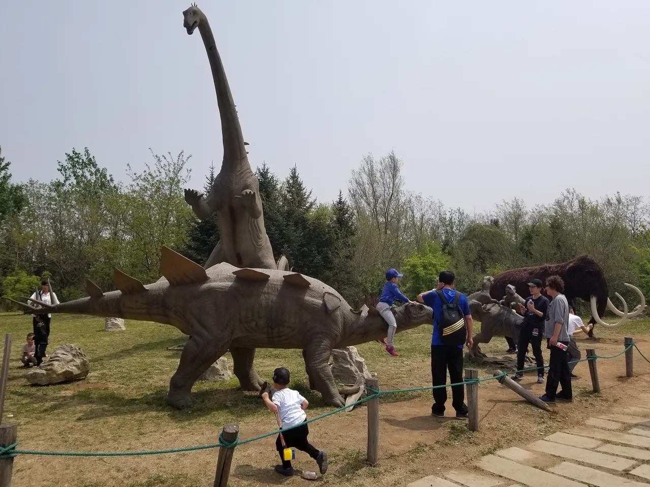 20180513_115154.jpg