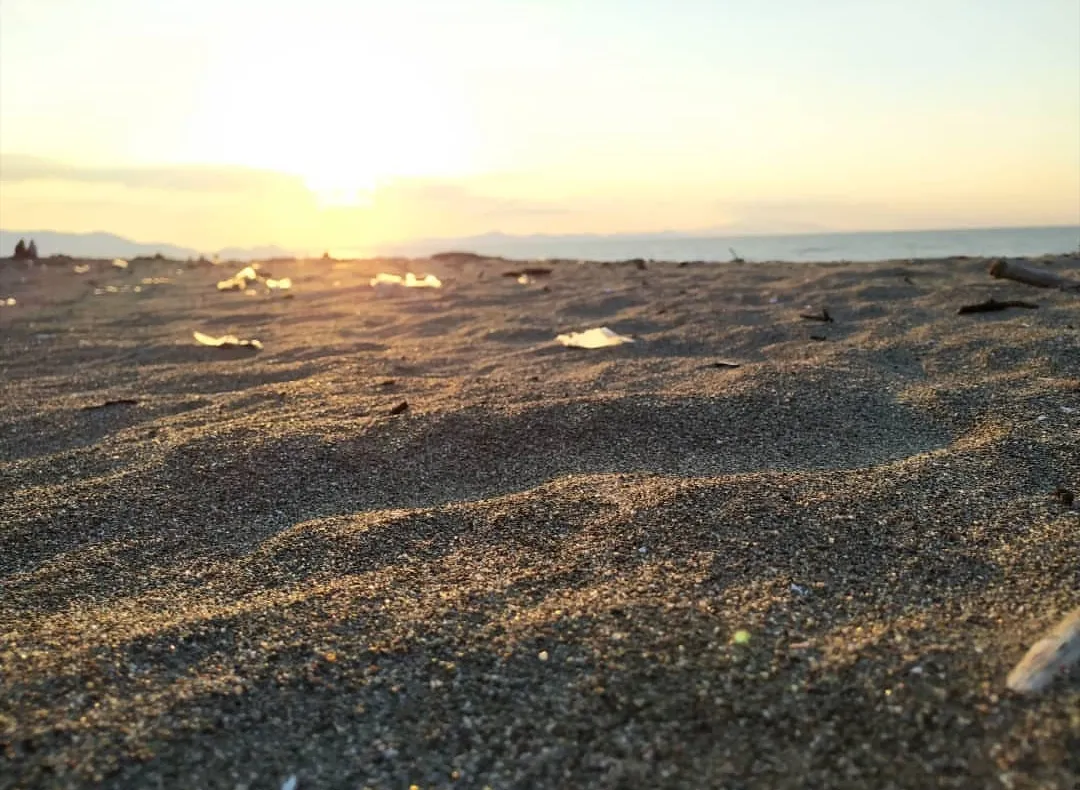 20190324_180311.jpg