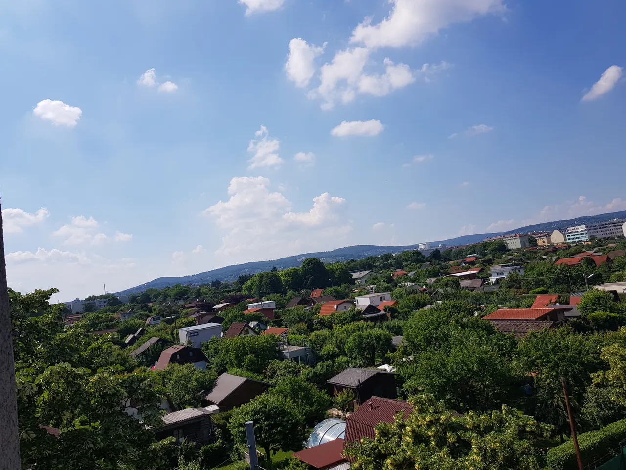 20180526_152818.jpg