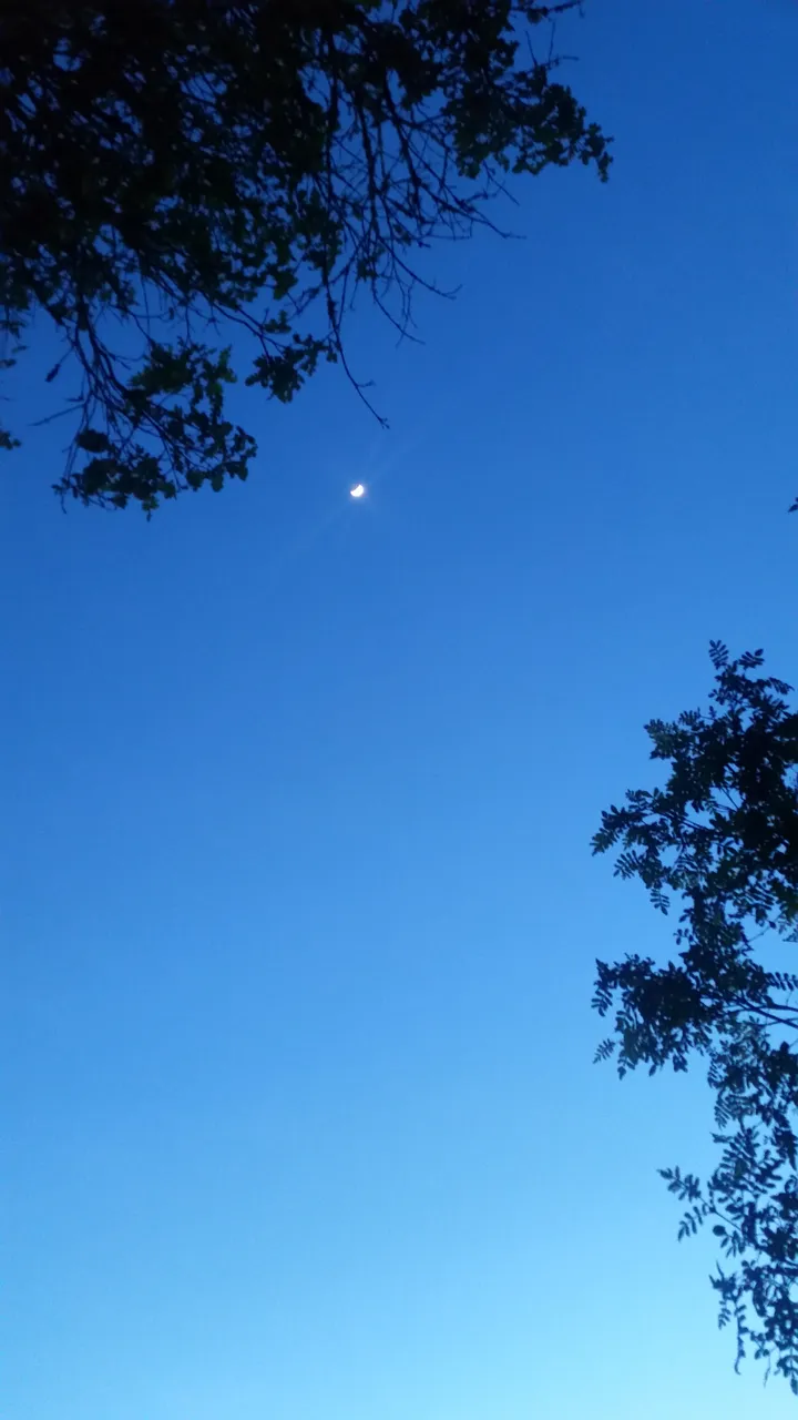 20170914_053634.jpg