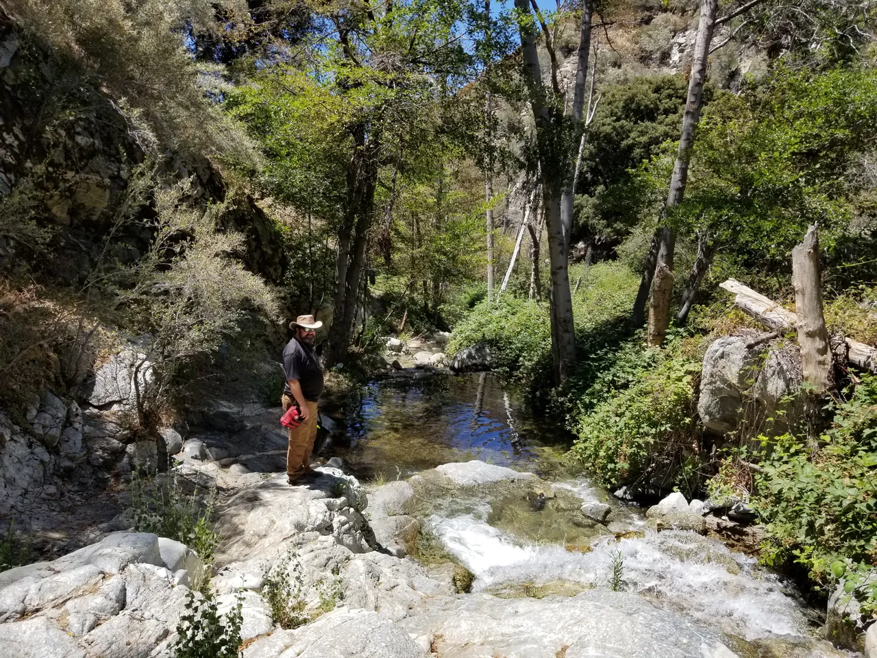 20190809_122511.jpg