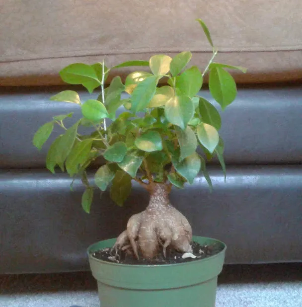 20181228_140113.jpg
