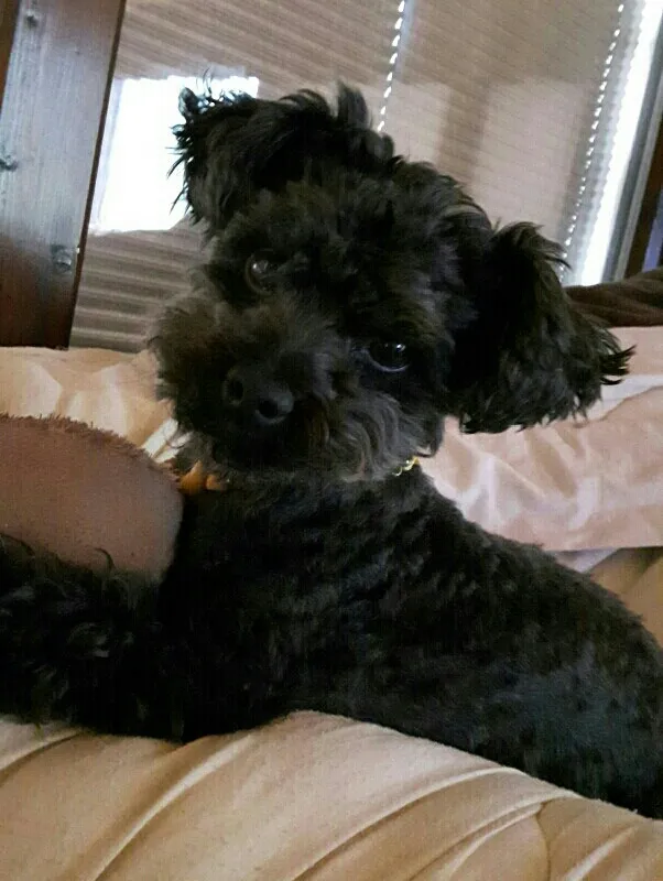 20190208_160838.jpg