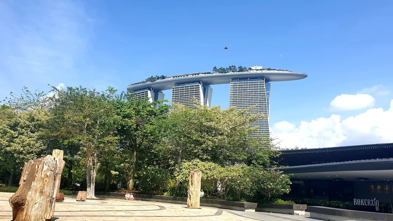 20190823_104906.jpg