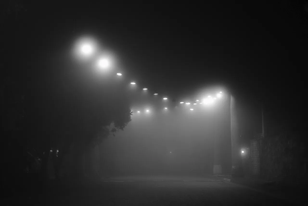DSC_0505-01-01.jpeg