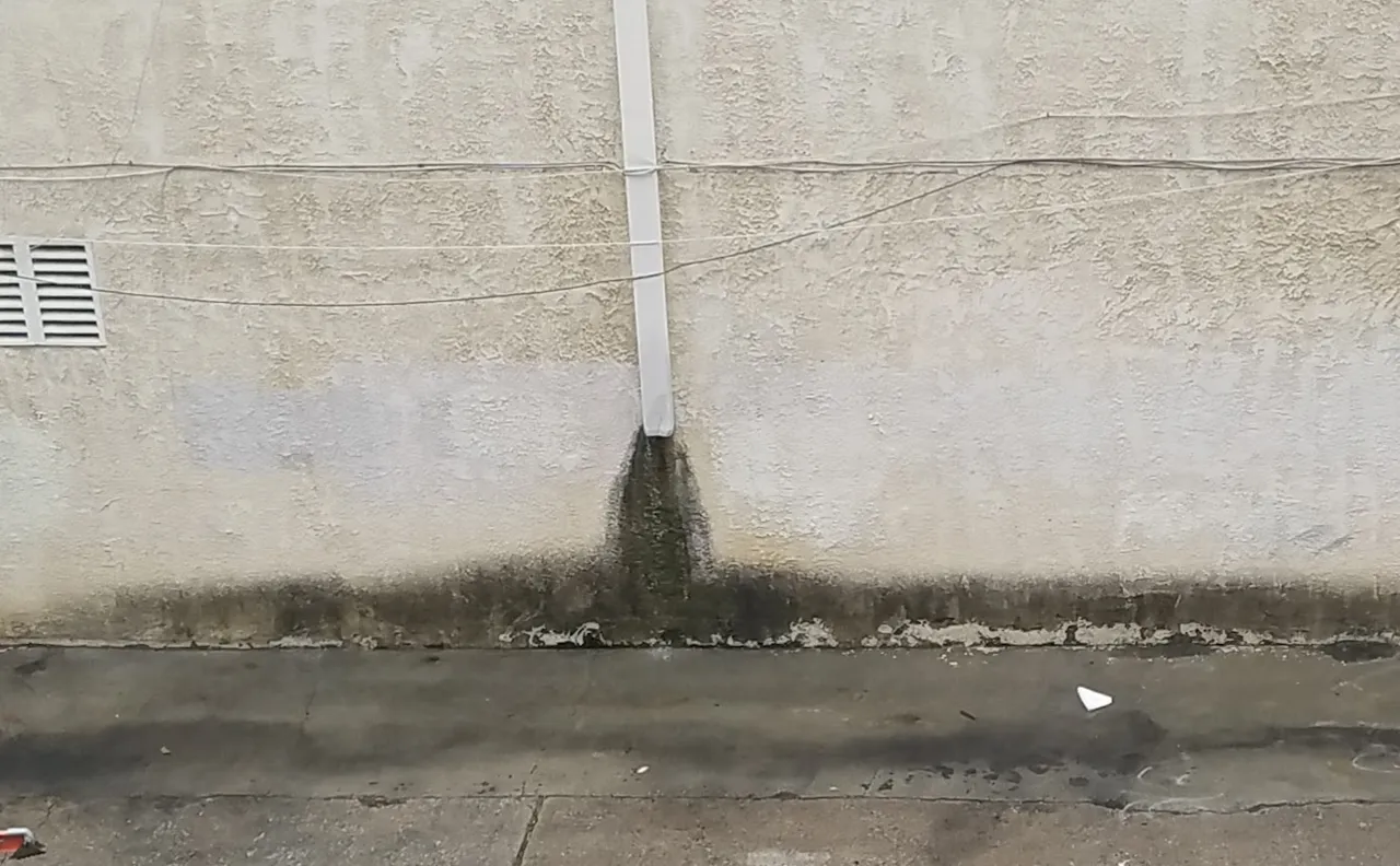20190213_114953.jpg