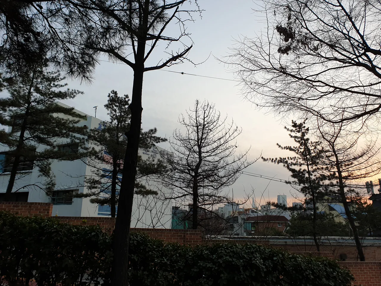 20190205_074201.jpg