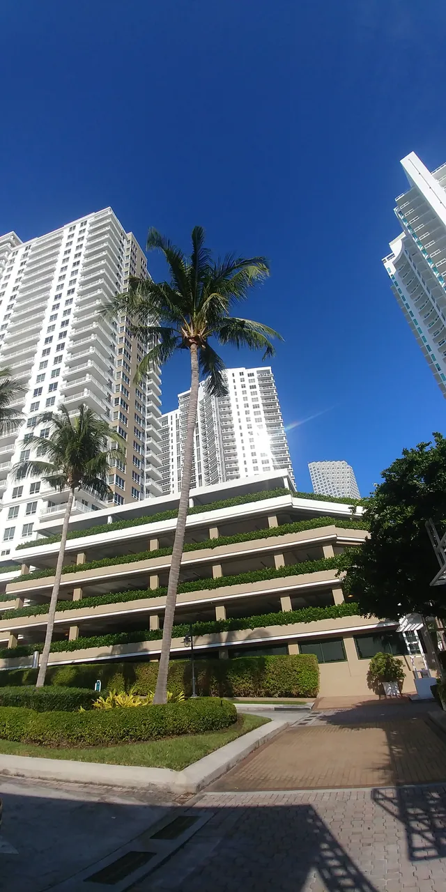 20190116_095558.jpg
