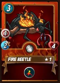 Fire-FireBeetle.JPG