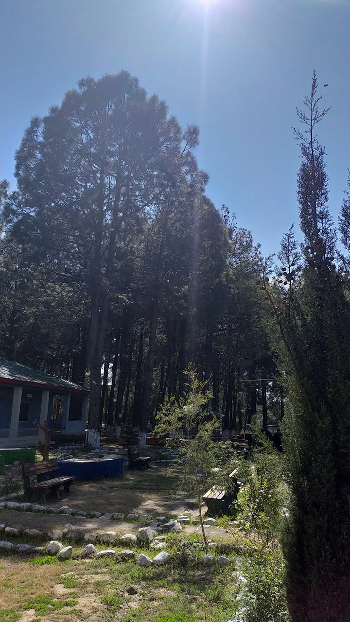20190306_132031.jpg