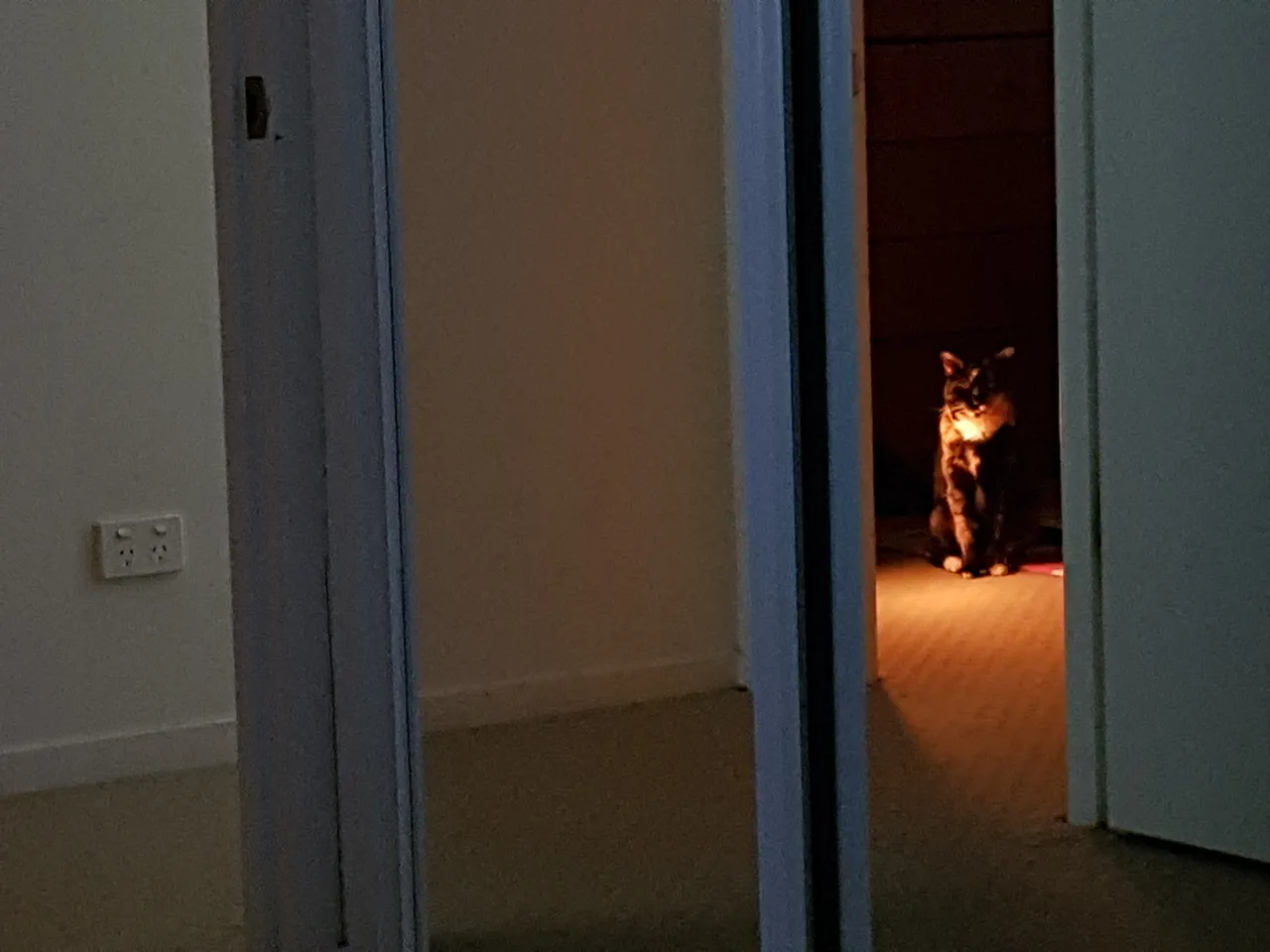 20180830_082928.jpg