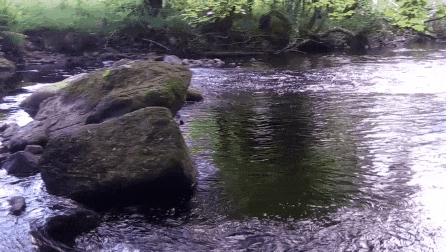 20190706_114525.gif