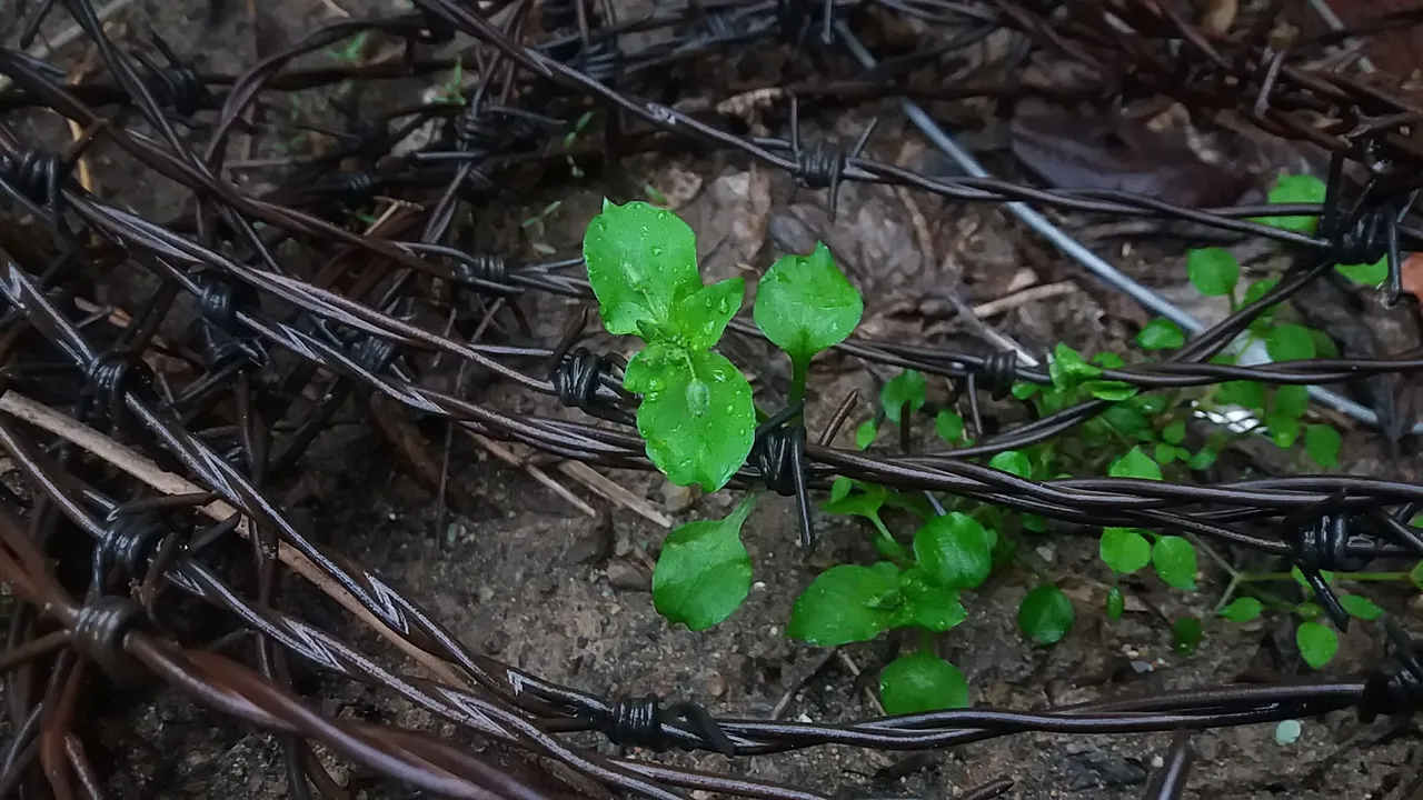 20190401_184057.jpg