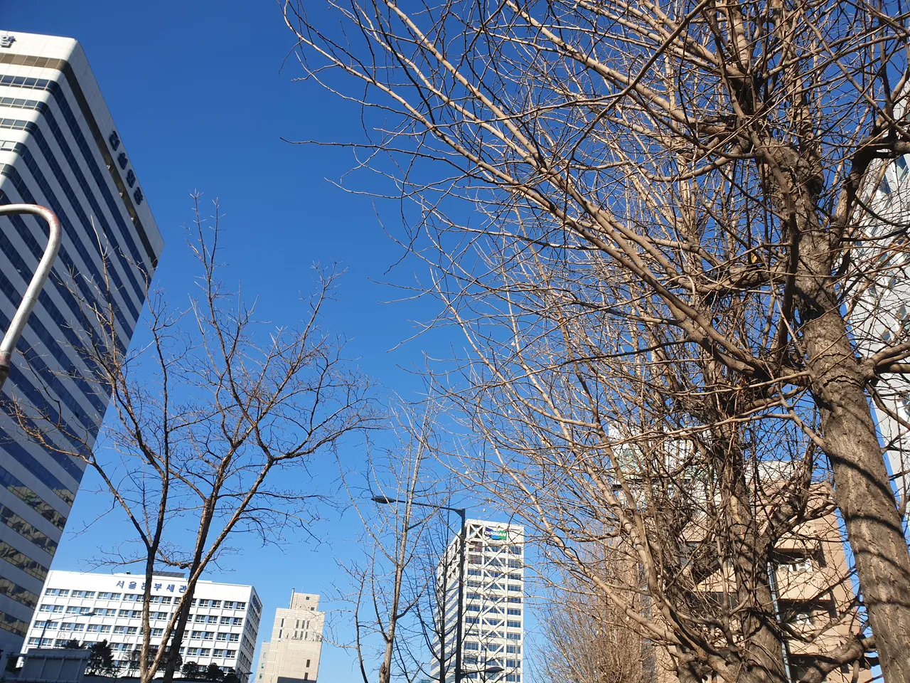 20191212_140149.jpg