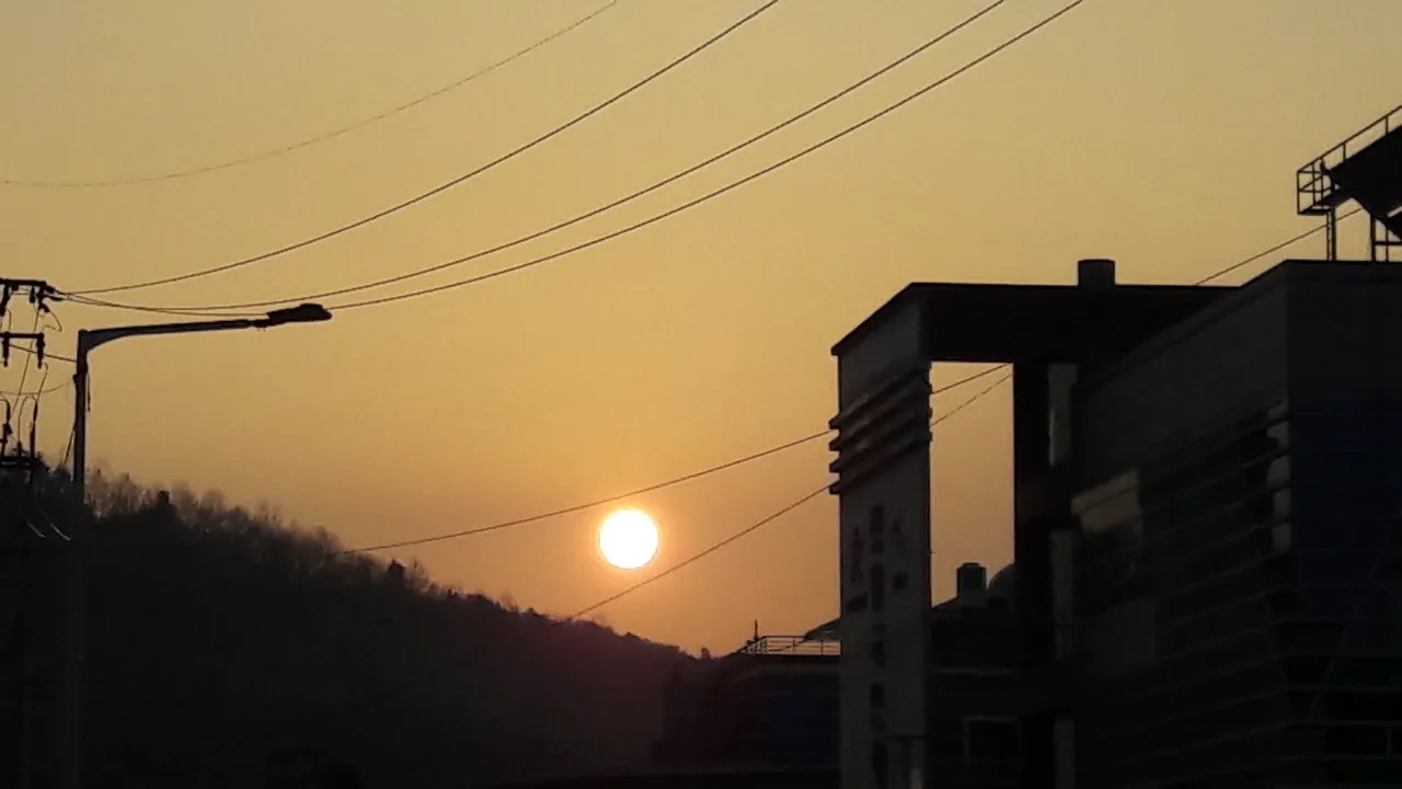 20190213_080018.jpg