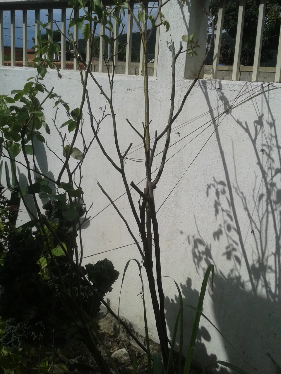 20190628_155548.jpg