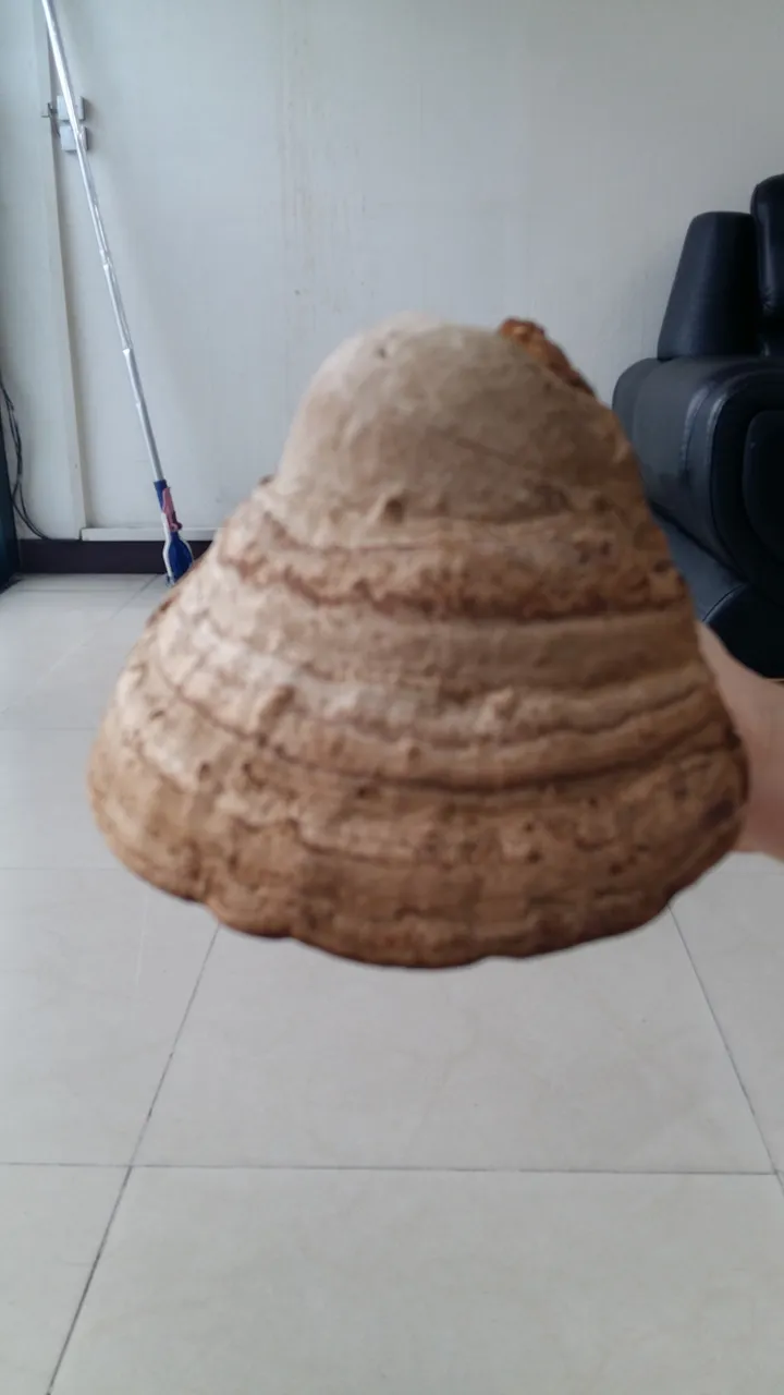 20190804_180714.jpg