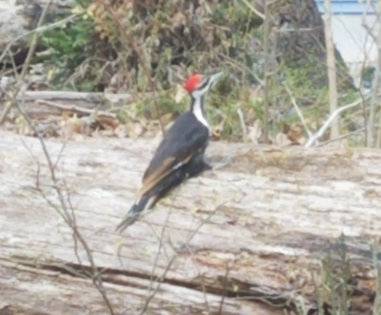 20190407_165928.jpg