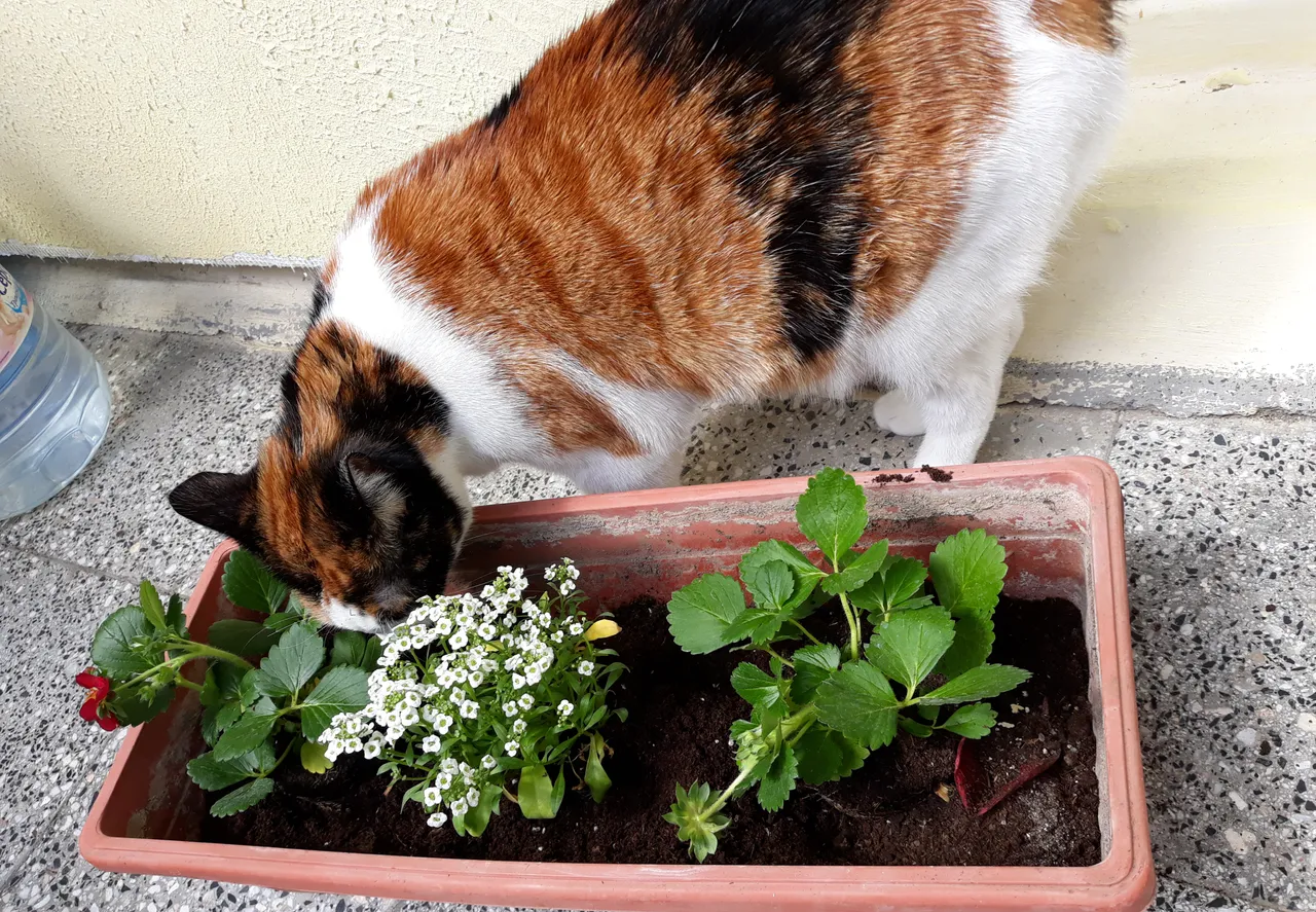 20190616_113428.jpg