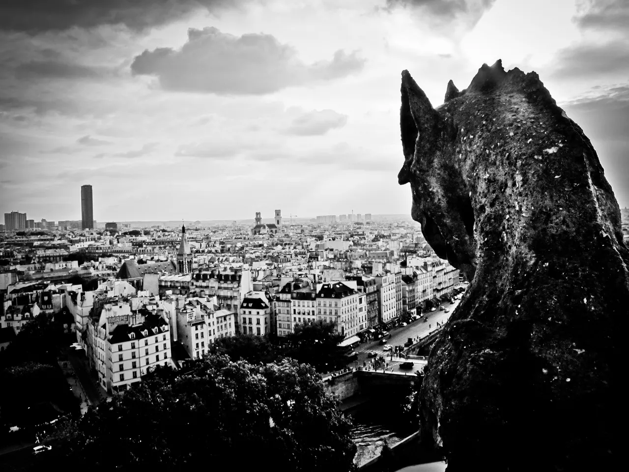 notre-dame-bw-1.jpg