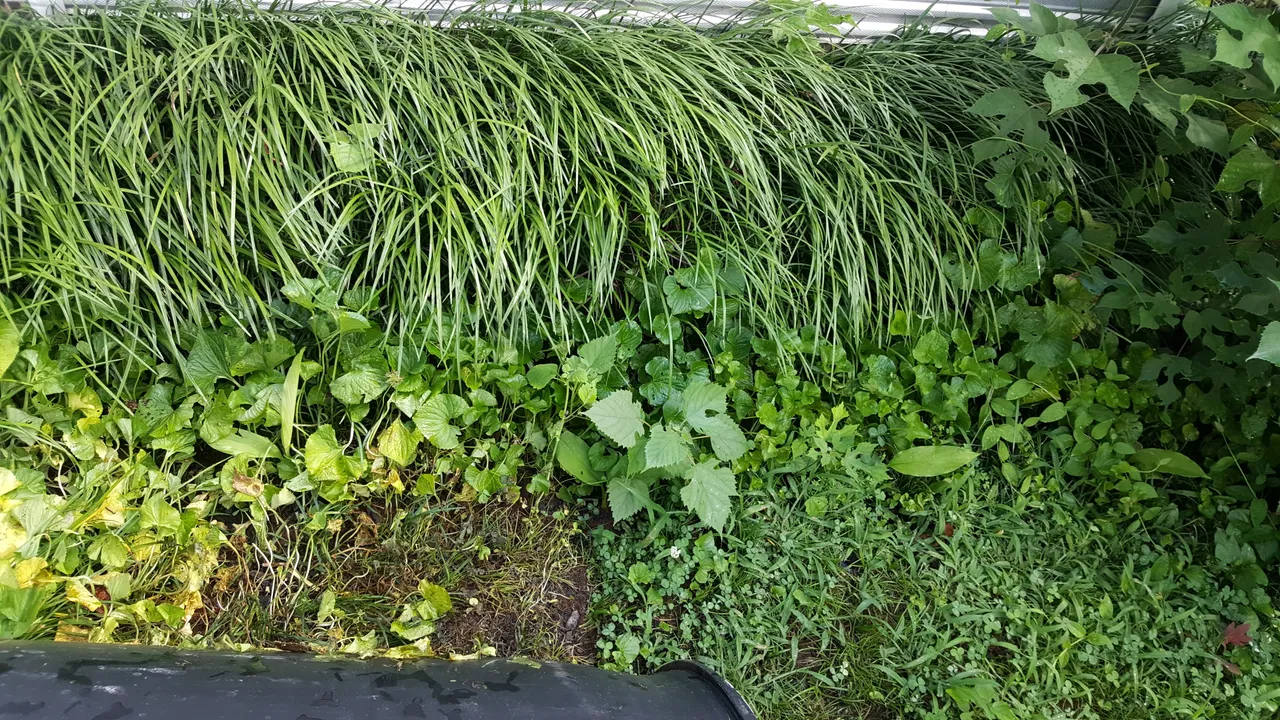 20180707_165238.jpg