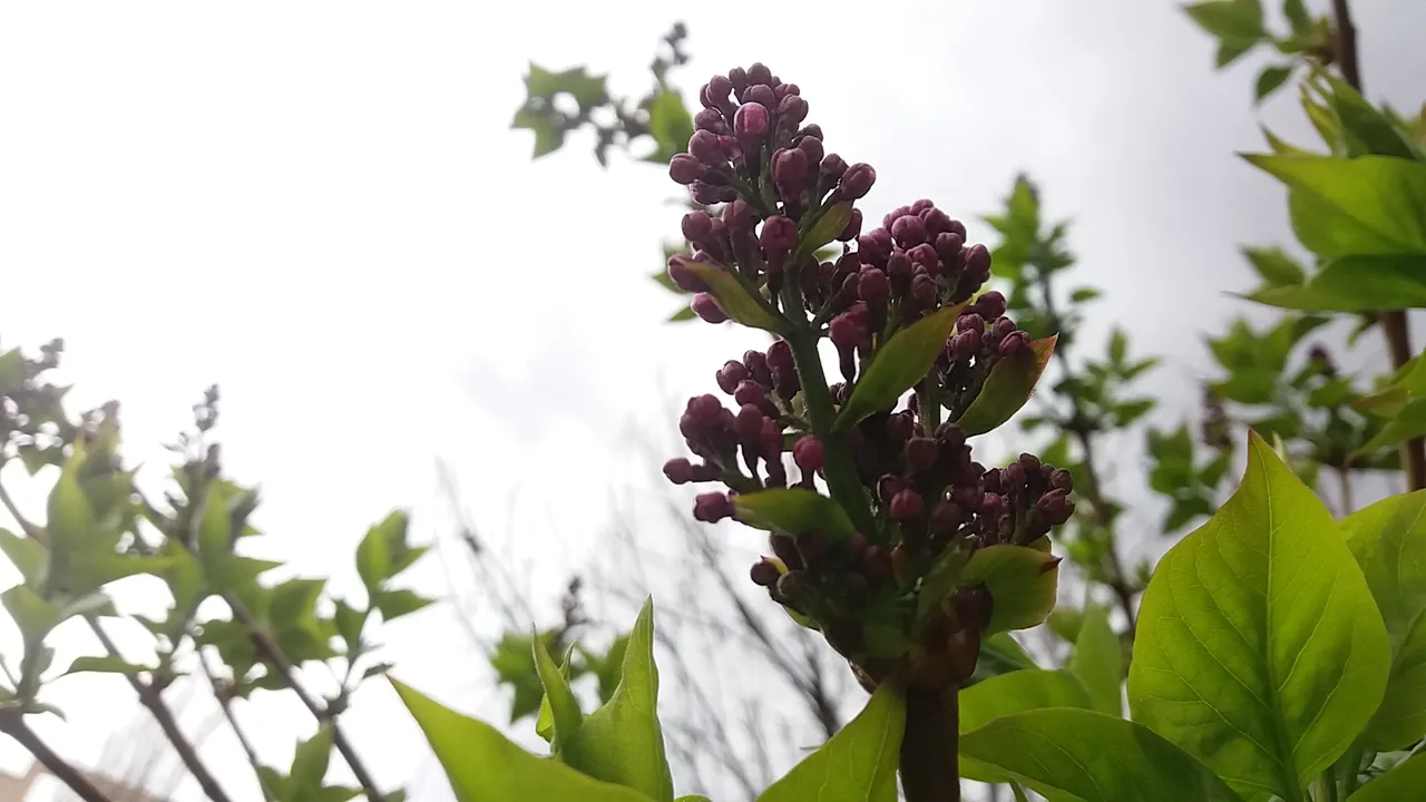 20190401_182858.jpg